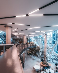 Vista panorámica de una pasarela de hierro en un edificio de cristal, con mesas y sillas en una amplia zona de recreo. Pasarela de hierro en un edificio de cristal con zona de recreo.