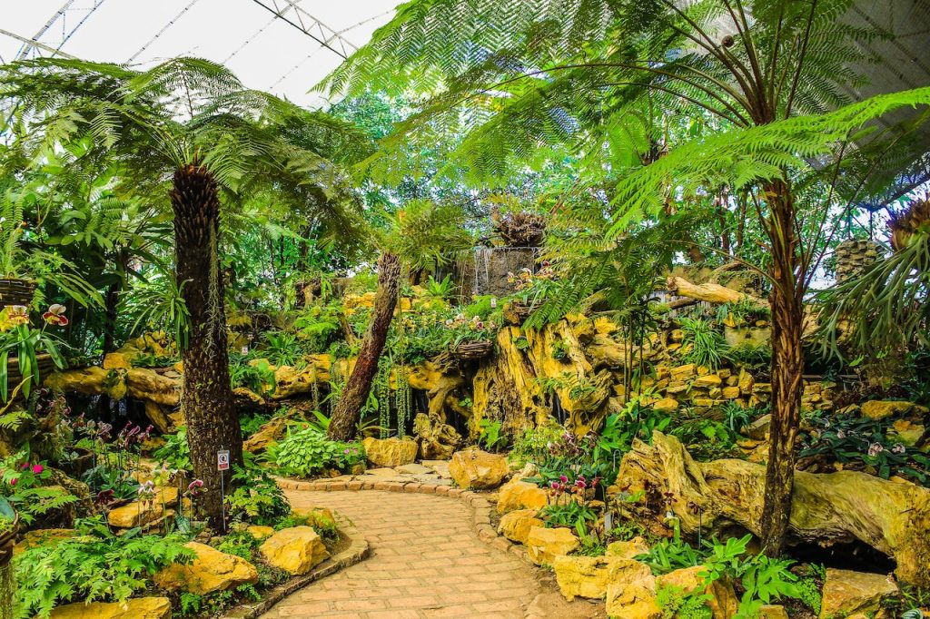 Instalación y mantenimiento de sistemas de riego 2 Un paraíso botánico en el invernadero
